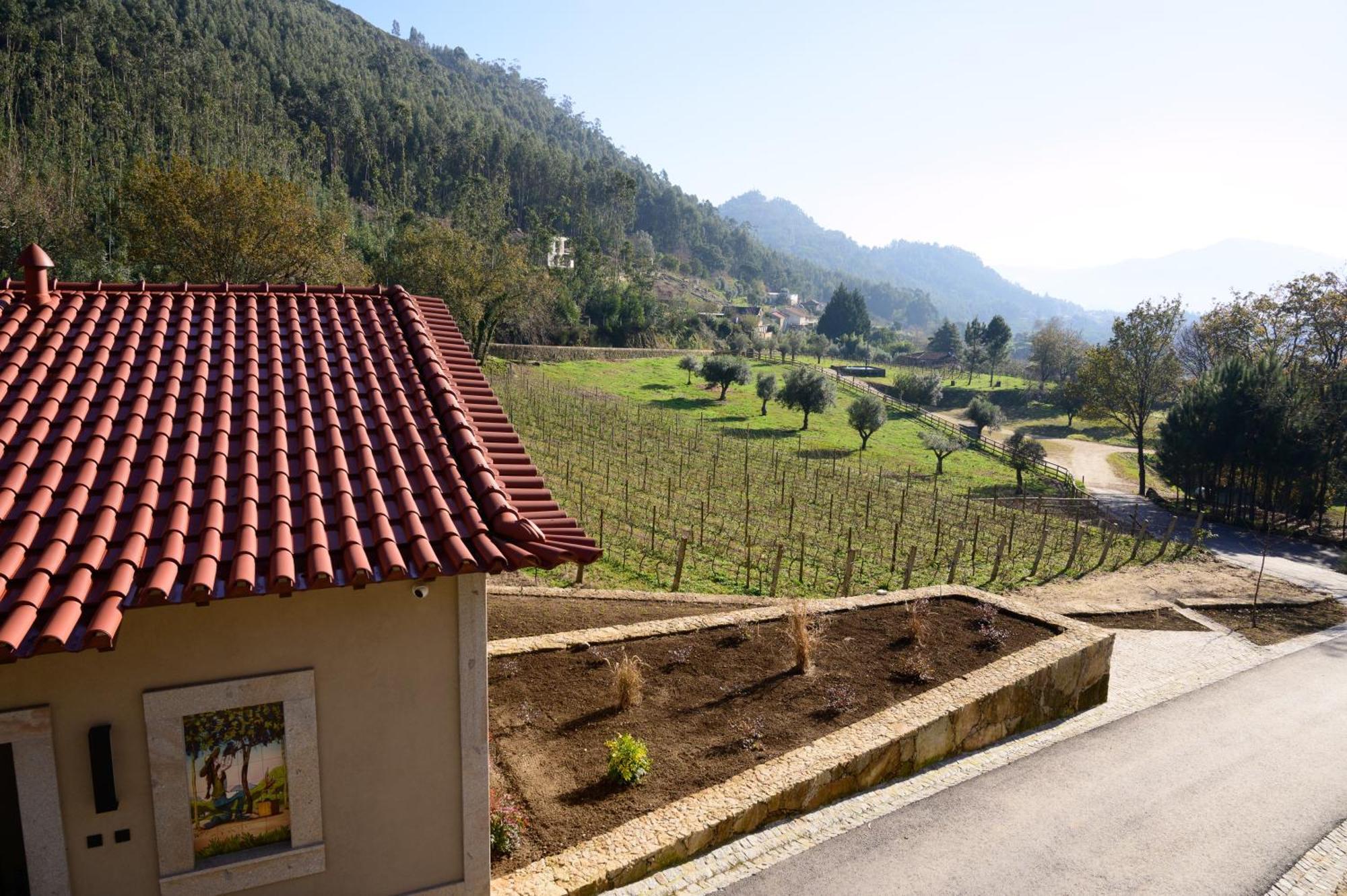 Villa Vinte-Quinta Da Boavista Ponte de Lima Exterior foto